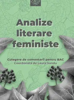 Analize literare feministe - Paperback brosat - Laura Sandu - Fractalia