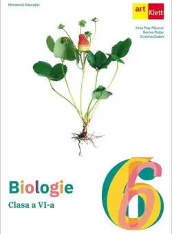 Biologie. Clasa a VI-a. Manual - Paperback brosat - Art Klett