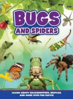 Bugs and Spiders