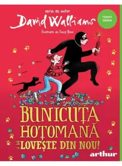 Bunicuţa hoţomană lovește din nou (Vol. 2) - Hardcover - David Edward Walliams - Arthur