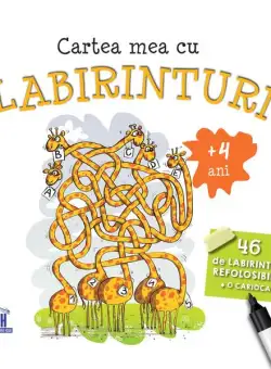 Cartea mea cu labirinturi. 46 de labirinturi refolosibile + o cariocă (4+ ani) - Paperback brosat - *** - Didactica Publishing House