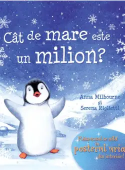 Cât de mare este un milion? - Hardcover - Anna Milbourne, Serena Riglietti - Didactica Publishing House