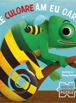 Ce culoare am eu oare? - Hardcover - Ronny Gazzola - Litera mică