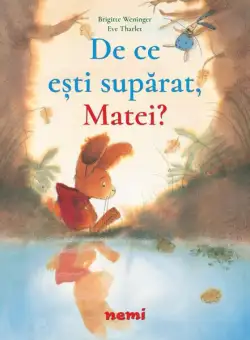 De ce ești supărat, Matei? - Paperback - Brigitte Weninger - Nemira