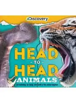Discovery: Head-To-Head
