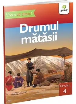 Drumul Matasii • nivelul 4