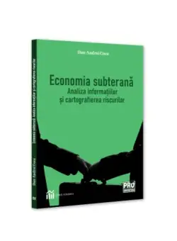 Economia subterana: analiza informatiilor si cartografierea riscurilor