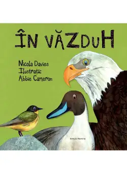 In vazduh