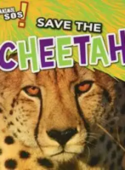 Save the Cheetah