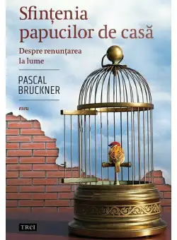 Sfintenia papucilor de casa