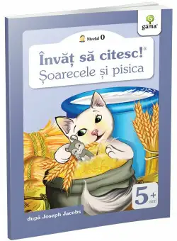 Soarecele si pisica
