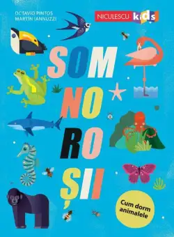 SOMNOROȘII. Cum dorm animalele - Paperback brosat - Martin Iannuzzi, Octavio Pintos - Niculescu