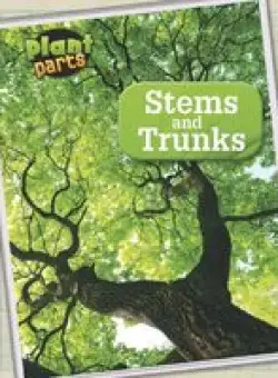 Stems and Trunks