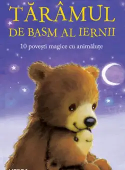 Tărâmul de basm al iernii - Paperback brosat - Răzvan Andrei - Litera