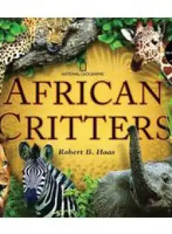 African Critters
