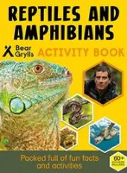 Bear Grylls Sticker Activity