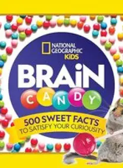 Brain Candy