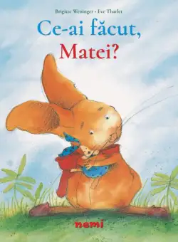 Ce ai făcut, Matei? - Paperback - Brigitte Weninger - Nemira