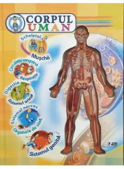 Corpul uman