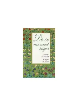 De ce nu sunt inger - Povesti de trecut timpul cu folos