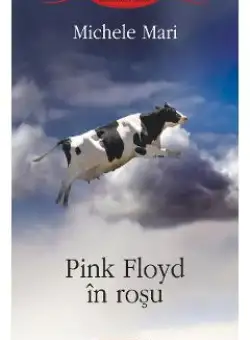eBook Pink Floyd in rosu - Michele Mari