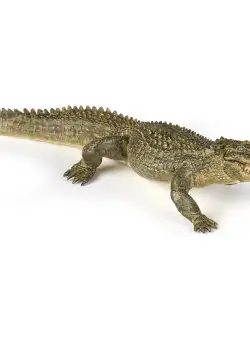 Figurina - Wildlife - Aligator | Papo