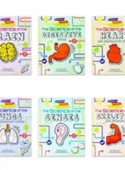 Flowchart Explorers: Human Body