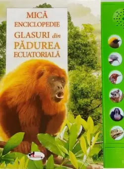 Glasuri din padurea ecuatoriala | Andrea Pinnington, Caz Buckingham