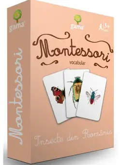 Insecte din Romania