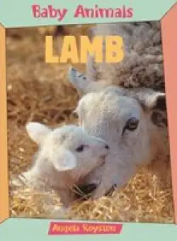 Lamb