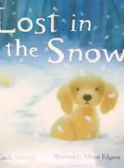 Lost in the Snow