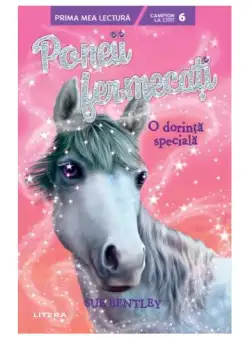 O dorință specială (Vol. 2) - Paperback brosat - Sue Bentley - Litera