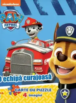 O echipă curajoasă - Hardcover - Roxana Aneculăesei - Litera