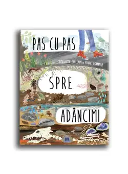 Pas cu pas spre adancimi