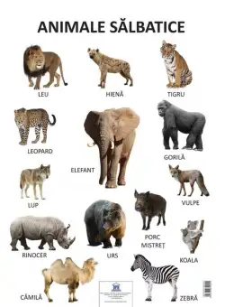 Planșă - Animale sălbatice - Paperback - *** - Didactica Publishing House
