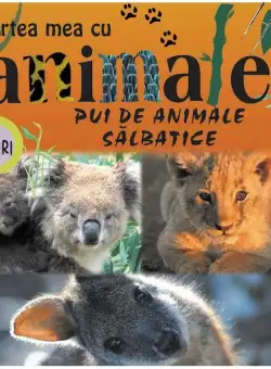 Pui de animale sălbatice. Cartea mea cu animale (+ jocuri) - Hardcover - Autor Colectiv - Prut