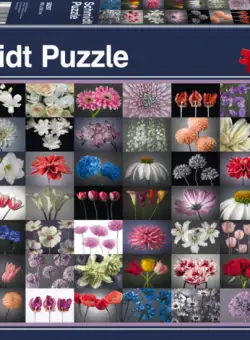 Puzzle 2000 piese - Floral Greeting | Schmidt
