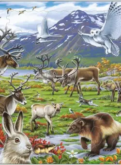 Puzzle 50 piese - Maxi - Flora and Fauna of the Arctic Tundra | Larsen