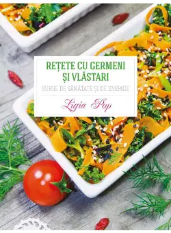 Retete cu germeni si vlastari