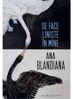 Se face liniste in mine