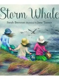 Storm Whale