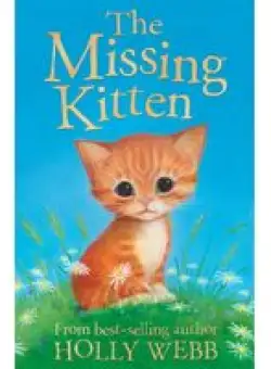 The missing kitten