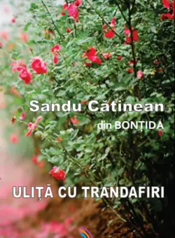 Ulita cu trandafiri | Sandu Catinean