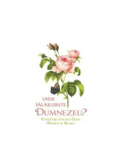 Unde salasluieste Dumnezeu - Povestiri pentru copii parinti si bunici