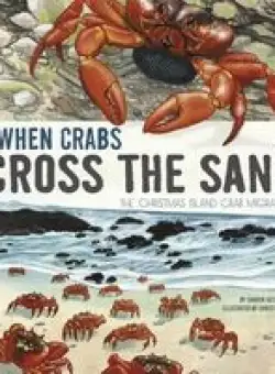 When Crabs Cross the Sand