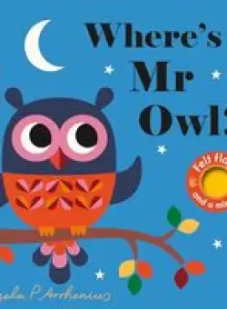 Where's Mr Owl? (Felt Flaps)