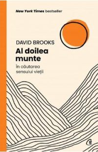 Al doilea munte. In cautarea sensului vietii - David Brooks