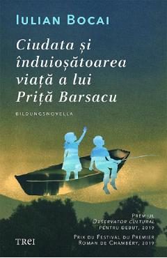 Ciudata si induiosatoarea viata a lui Prita Barsacu - Iulian Bocai