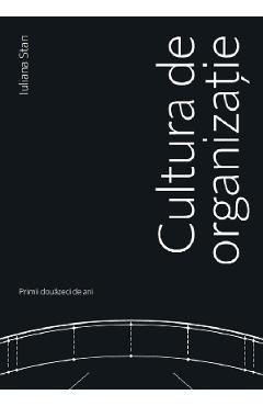 Cultura de organizatie - Iuliana Stan