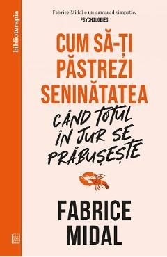 Cum sa-ti pastrezi seninatatea cand totul in jur se prabuseste - Fabrice Midal